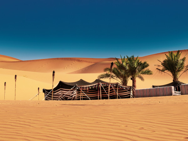 Desert Oasis Zones